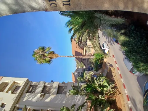 Location Alger El achour