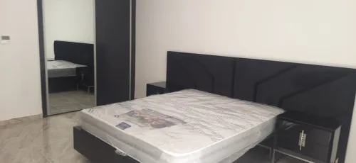 Location Appartement Alger Hydra