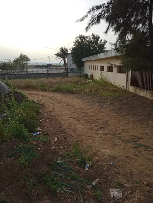 Vente Terrain El Tarf Ain el assel
