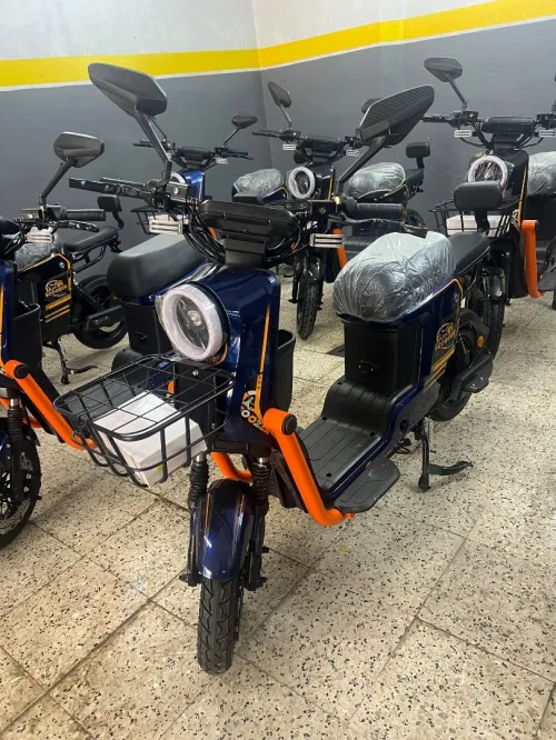 Scooter Moto électrique 2025