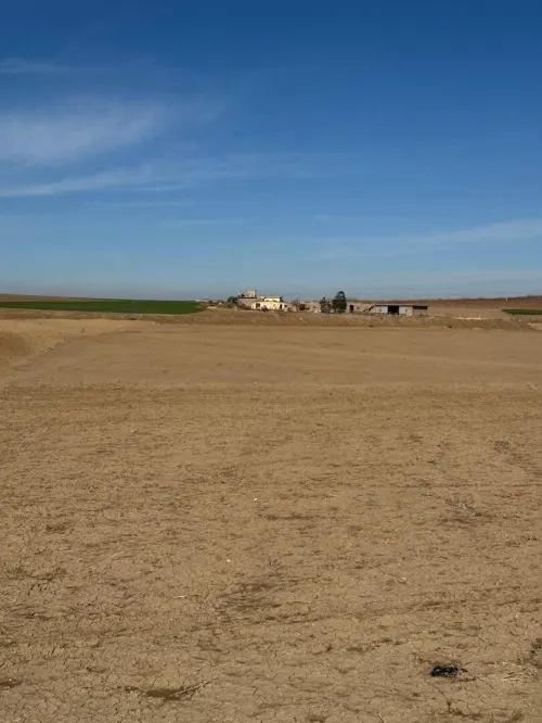 Vente Terrain Oran El Kerma