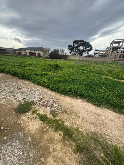 Vente Terrain Oran Bir el djir