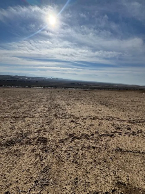 Vente Terrain Oran El Kerma