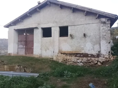 Vente Hangar - Usine Béjaïa Seddouk