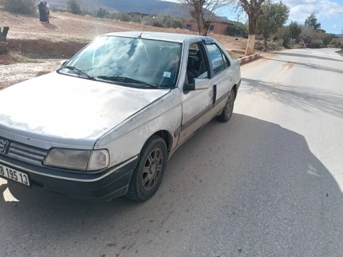 Peugeot 405 1995 405