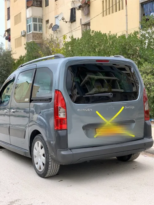 Citroen Berlingo 2010 Berlingo