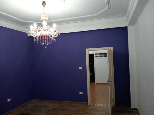 Peintre professionnel صباغ