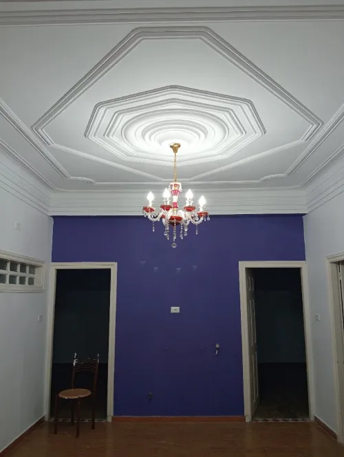 Peintre professionnel صباغ