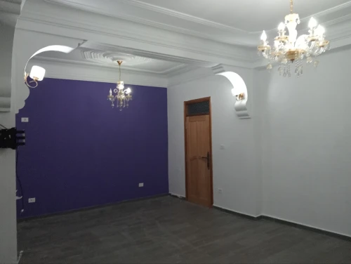 Peintre professionnel صباغ