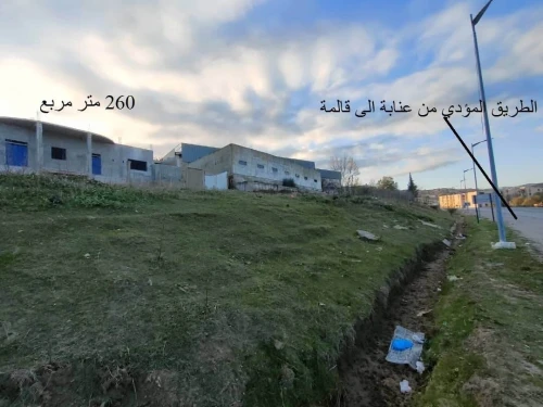 Vente Hangar Guelma Nechmaya