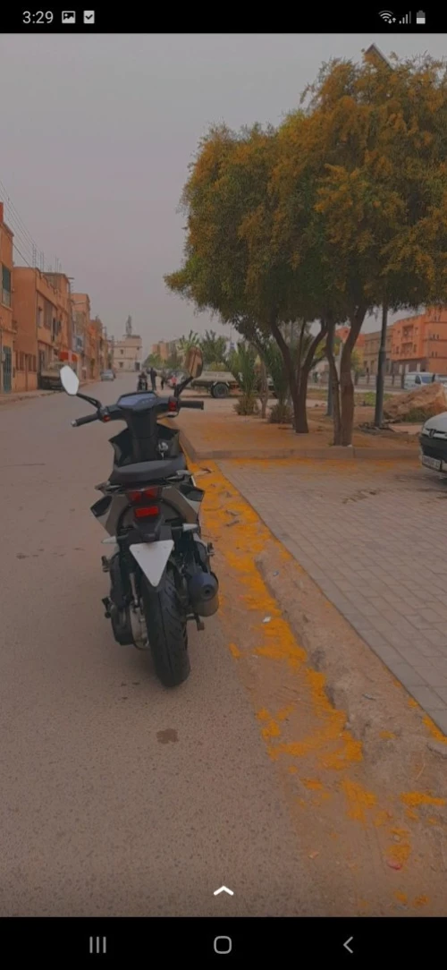 Pista Pista 2018