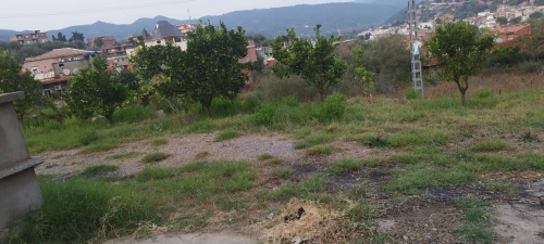 Vente Terrain Jijel El ancer