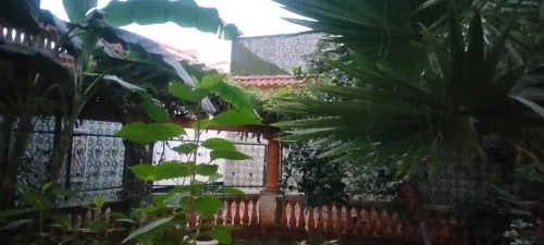 Vente Villa Alger Zeralda