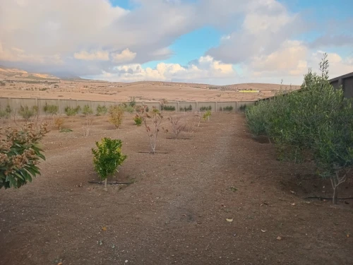 Vente Villa Sétif Boutaleb
