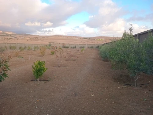 Vente Villa Sétif Boutaleb