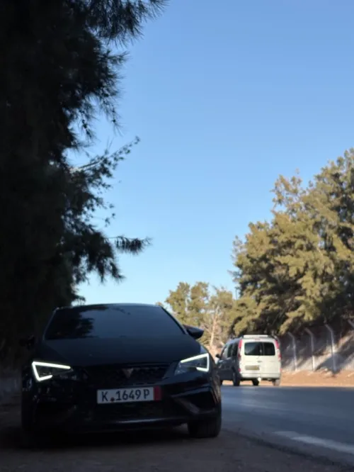 Cupra  Cupra  2015 Cupra 