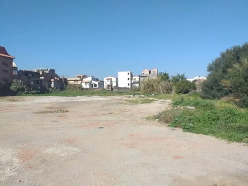 Location Terrain Alger Bordj el kiffan
