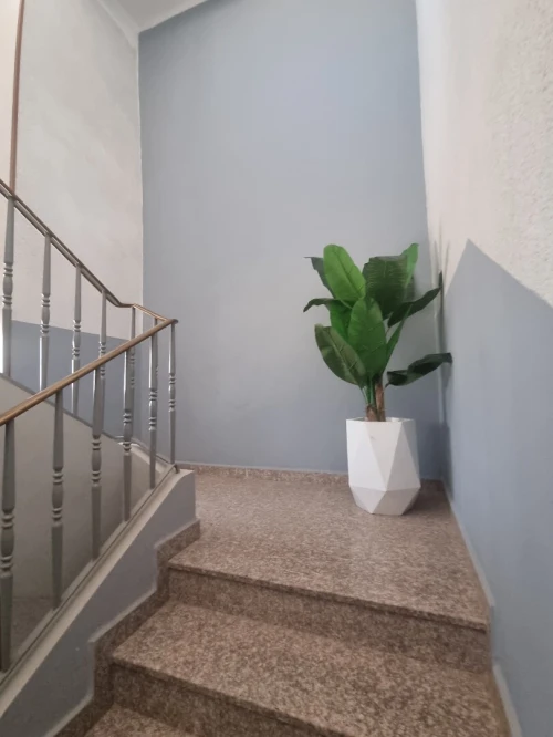 Vente Appartement F4 Blida Blida