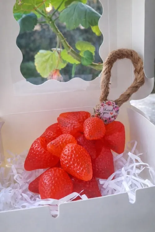 Savon artisanal forme fruits صابون على شكل فواكه