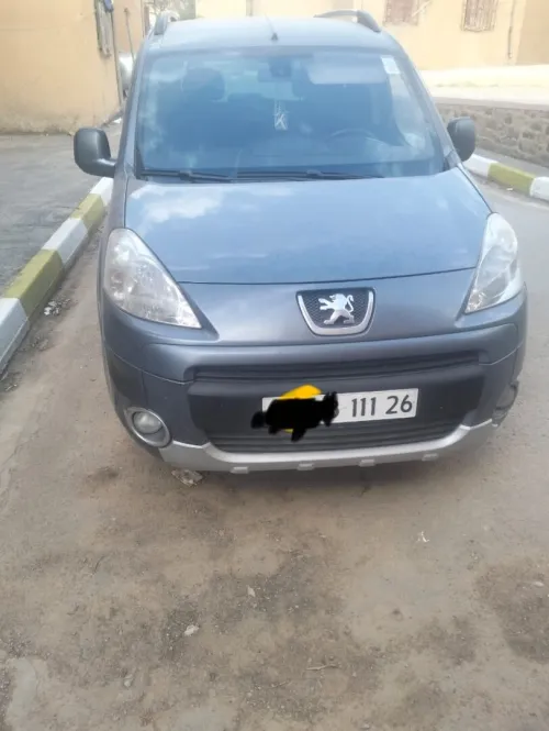 Peugeot Partner 2011 Tepee