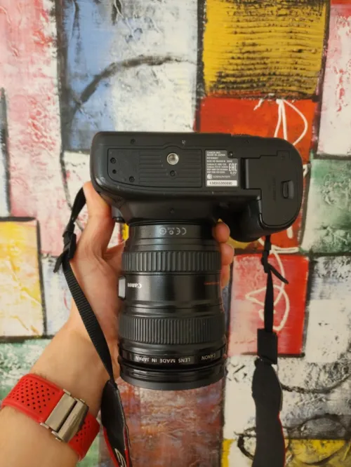Canon 5D mark IV + 24-105mm