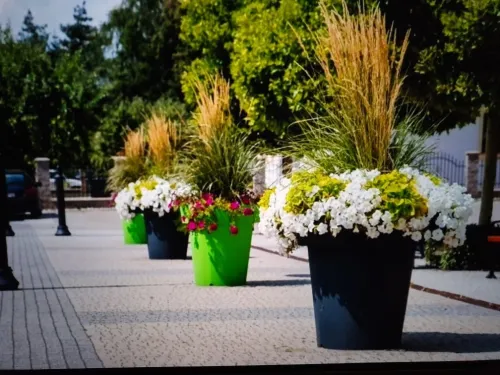  Pot de fleurs Jardinière 