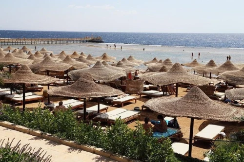 Caire & Sharm El Sheikh  AVRIL MAI