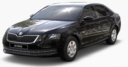 Location Voiture Pour Entreprises Et Délégation Vip AUX MEILLEURS PRIX