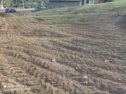Vente Terrain Batna Teniet el abed