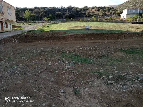 Vente Terrain Batna Teniet el abed