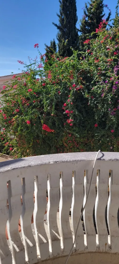 Location Villa Alger Ouled fayet