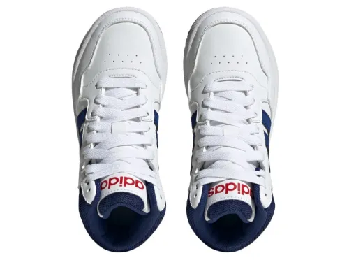 Adidas paladium