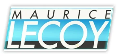 Vente un lots des câbles marque motivé lecoy
