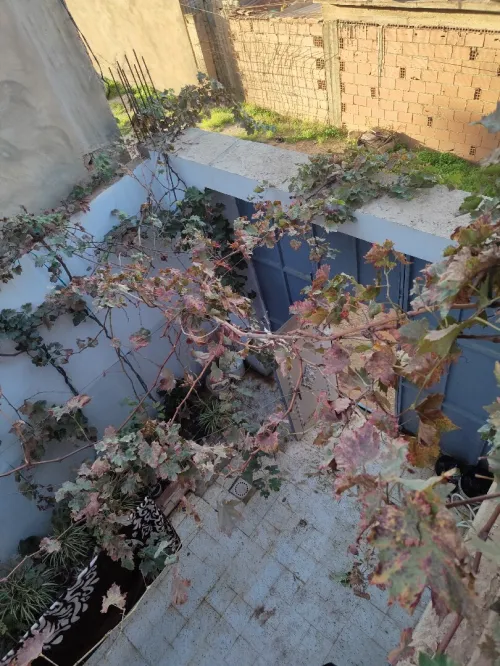 Vente Villa Aïn Defla Ain defla