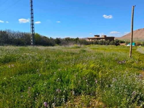 Vente Terrain Batna Guigba