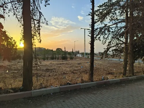 Vente Terrain Tlemcen Mansourah