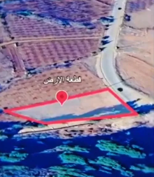 Vente Terrain Tlemcen Mansourah