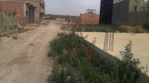 Vente Terrain Mostaganem Mezghrane