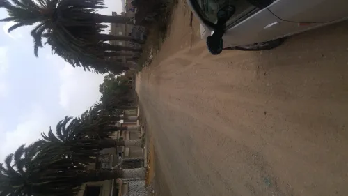 Vente Terrain Mostaganem Mezghrane