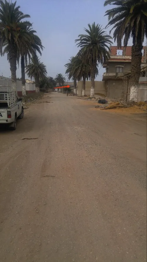 Vente Terrain Mostaganem Mezghrane