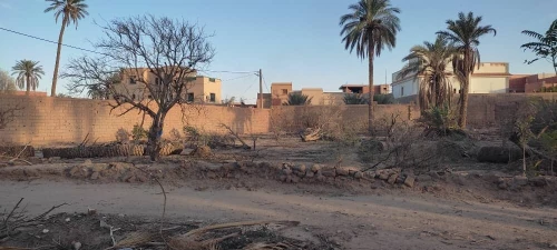 Vente Terrain Laghouat Laghouat