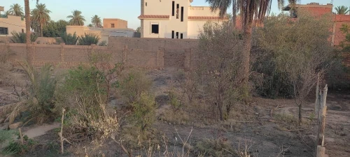 Vente Terrain Laghouat Laghouat