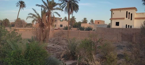 Vente Terrain Laghouat Laghouat