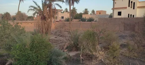 Vente Terrain Laghouat Laghouat