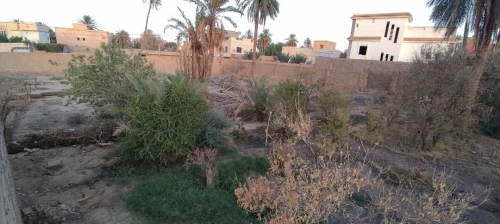 Vente Terrain Laghouat Laghouat