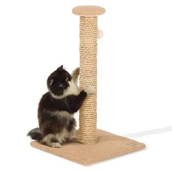Arbre à chat 