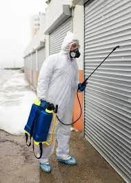 Service de nettoyage, désinfection, désinsectisation, dératisation, fumigation, nettoyage 3D, entreprise de nettoyage moquette tapis canapés, ponçage lustrage vitrage