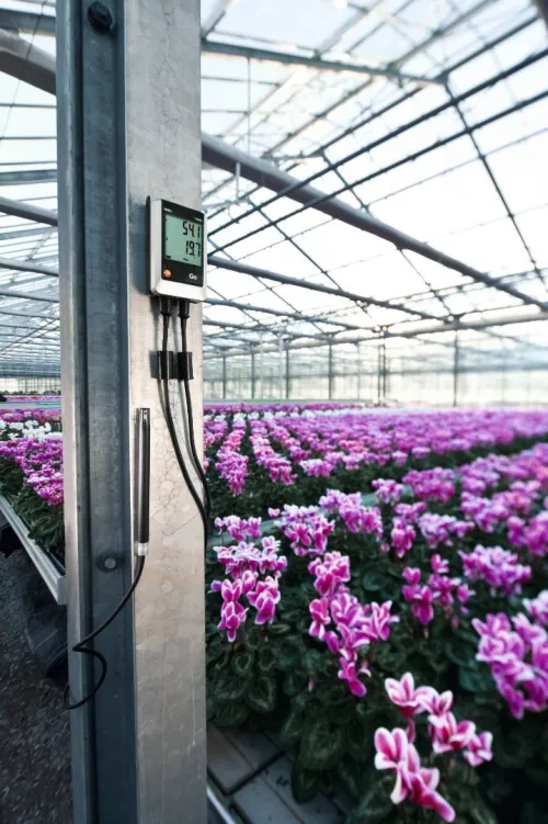testo 176 H1 - Enregistreur de données pour la température et l'humidité