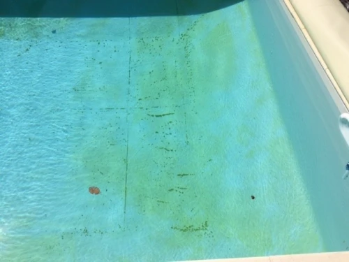 ANTIALGUES POUR PISCINES