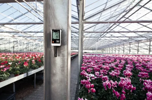 testo 175 H1 - Enregistreur de température et d'humidité autonome